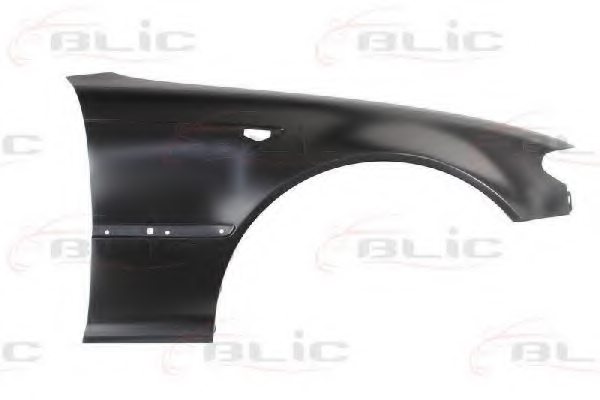 BLIC 6504-04-0061318P Wing